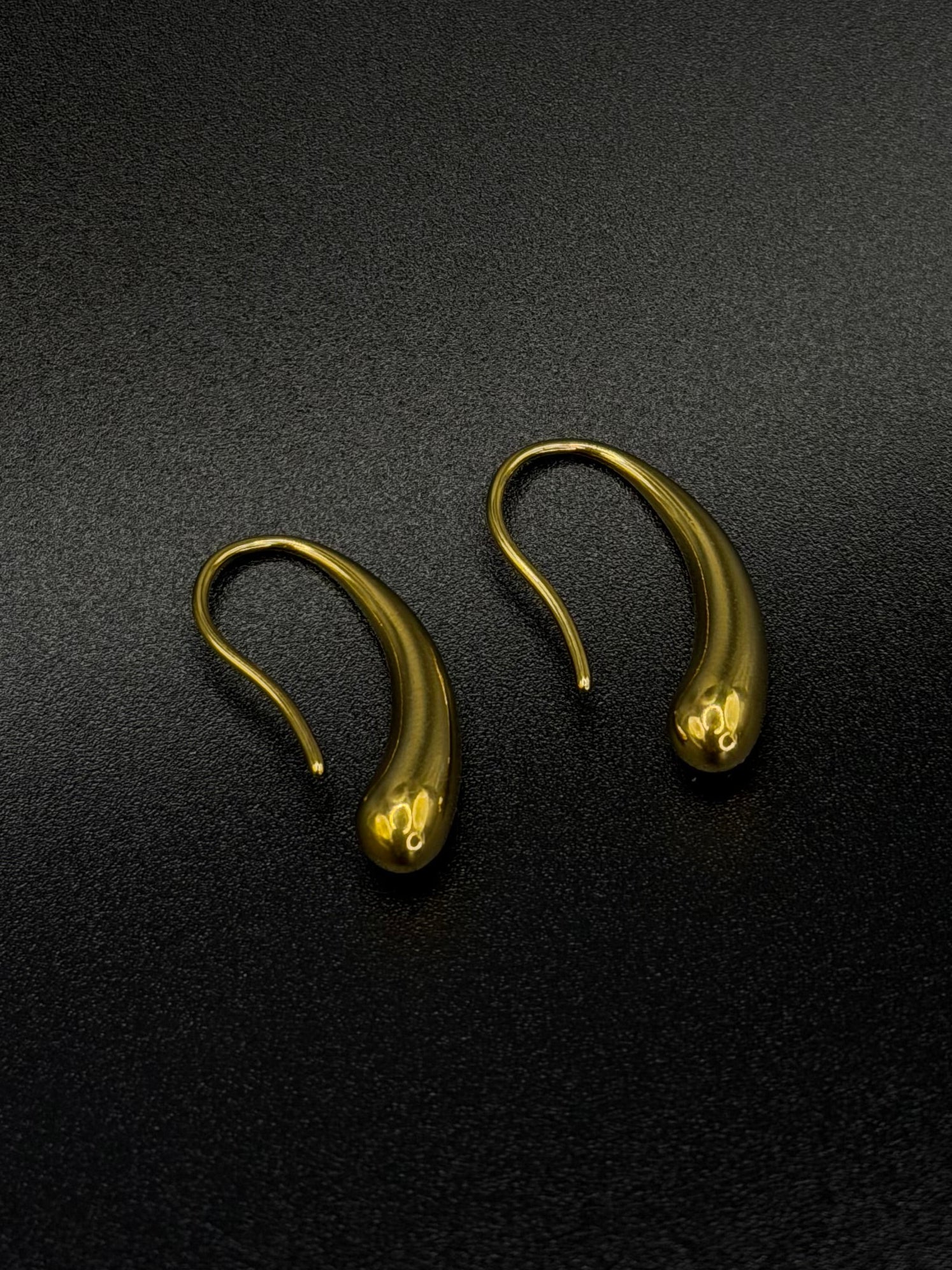 Earrings HOOK